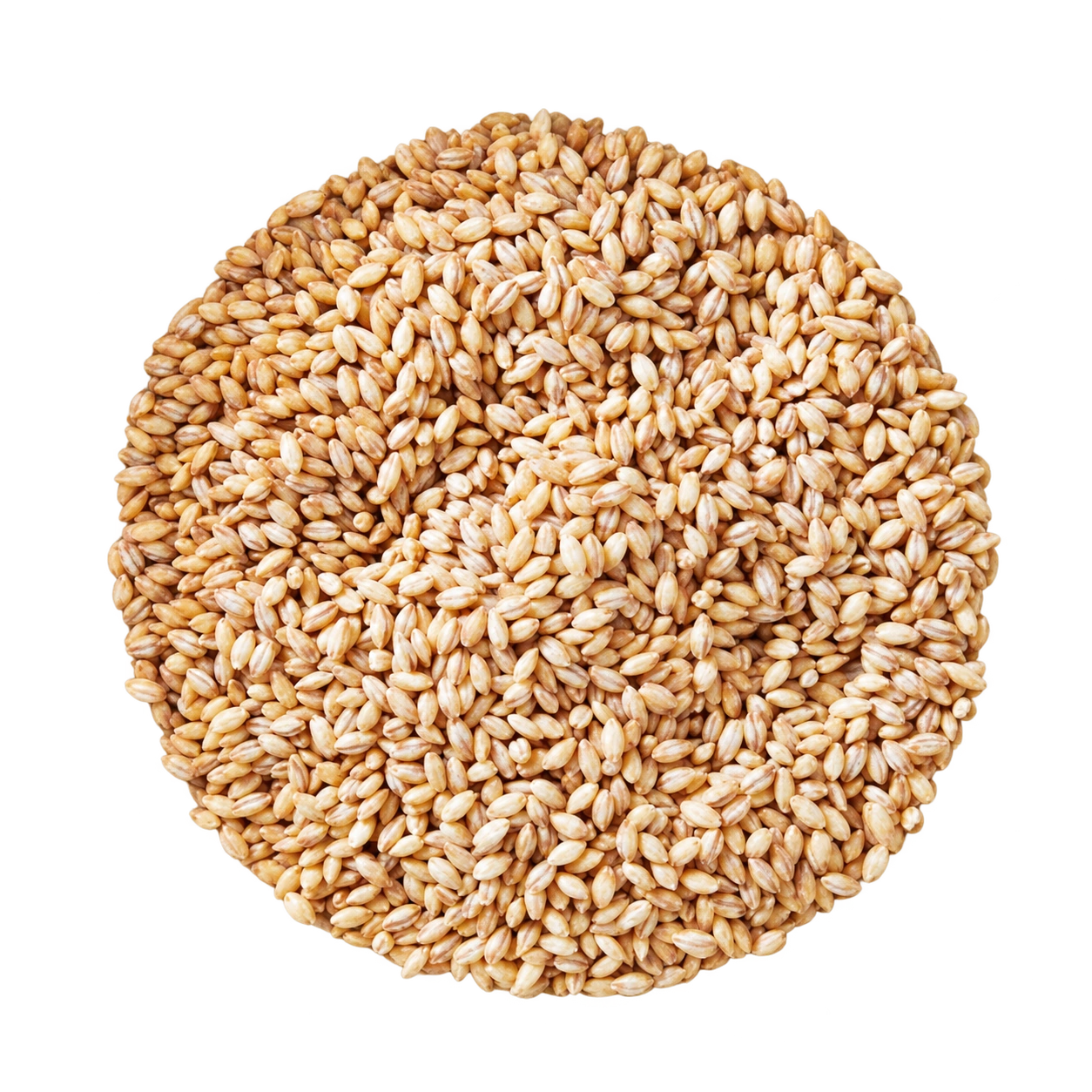 Geršla