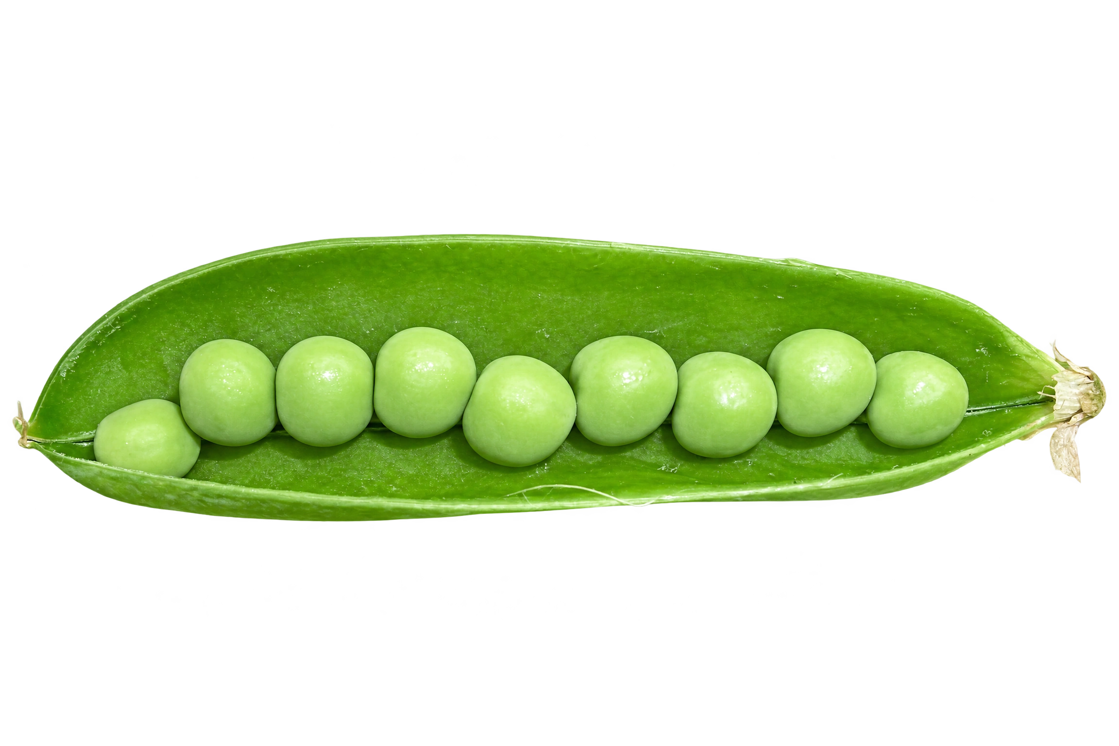 Grašak protein