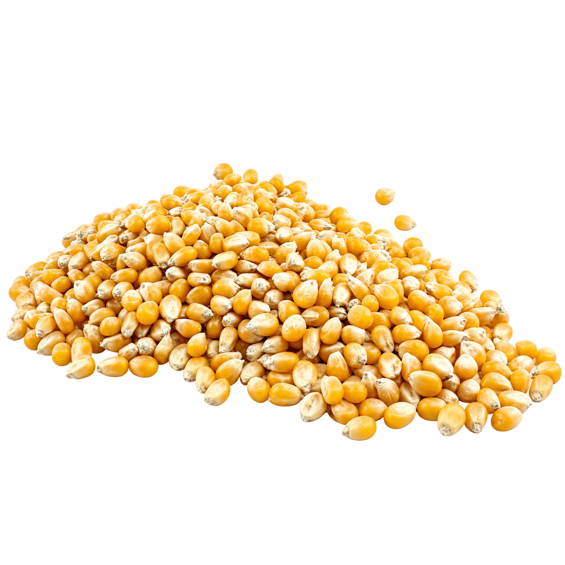 Kokičar