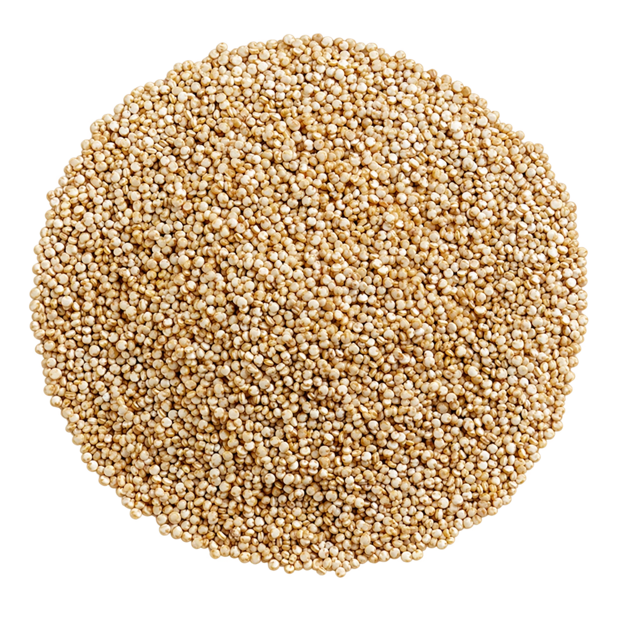 Quinoa